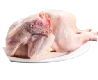 12.png