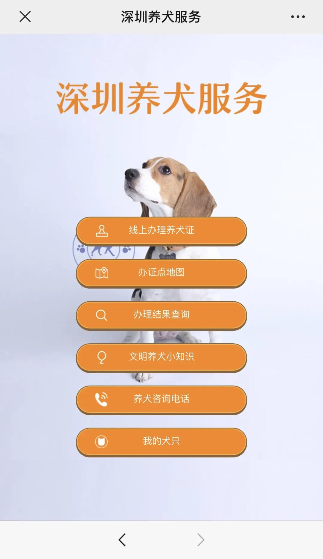 深圳养犬服务