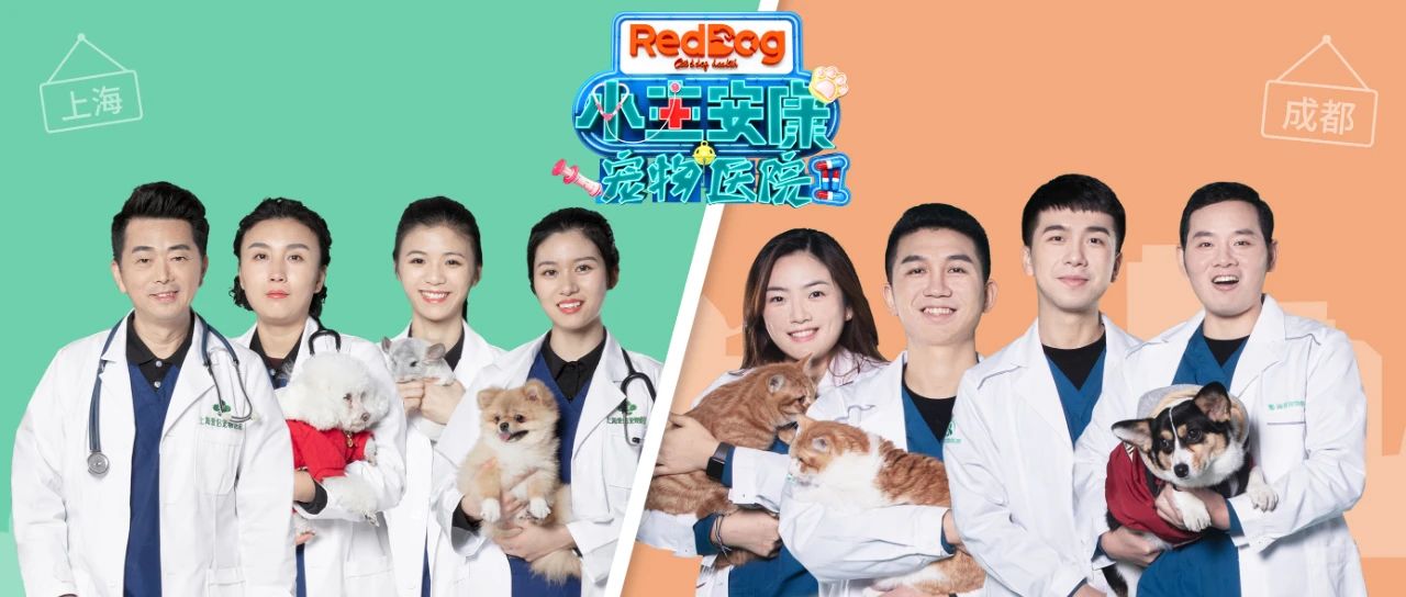 2020年红狗连续冠名第二季《宠物医院2》纪录片