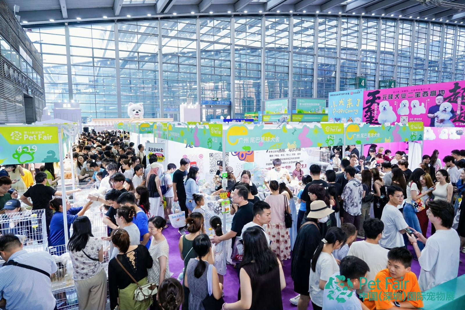 DSC08069-opq4041203320